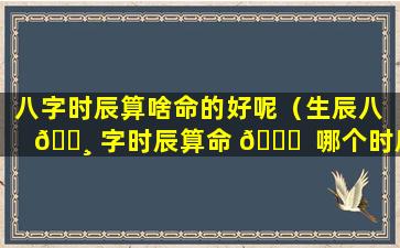 八字时辰算啥命的好呢（生辰八 🕸 字时辰算命 🍁  哪个时辰出生最好）